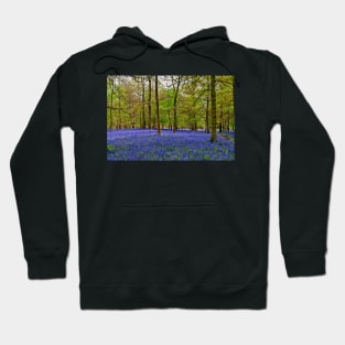 Bluebells Bluebell Woods Greys Court Oxfordshire UK Hoodie